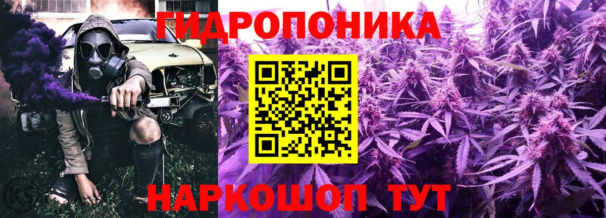 Канабис семена  МАРИХУАНА OG Kush  Орёл  Вход с VPN 